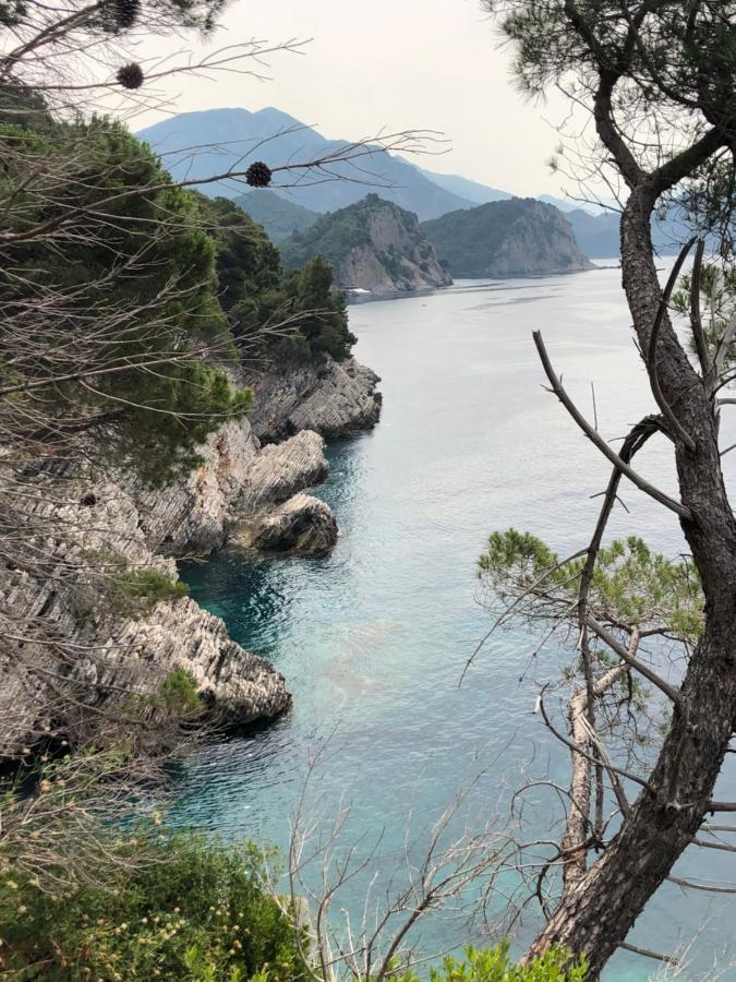 Villa Lime Petrovac Exteriér fotografie